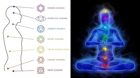 7 Chakras Your Guide To Understand 7 Chakras Gobookmart NBKomputer