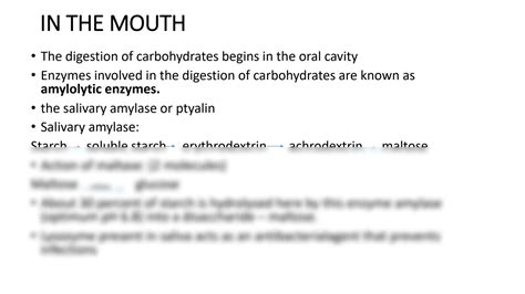 Solution Digestion And Absorption Of Protein Carbohydratesand Fats