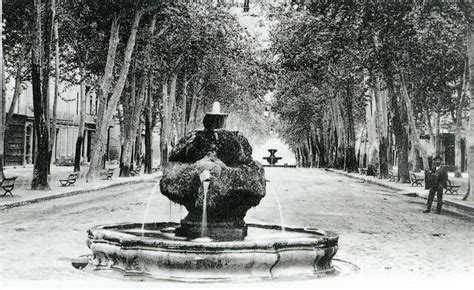 cours mirabeau aix en provence france karin daan environmental