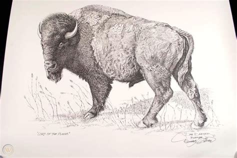 Signed Dan Brewer Western Art Print Lord Of The Plains American Buffalo