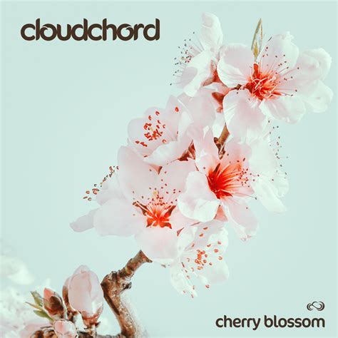 Cloudchord Cherry Blossom Lyrics Genius Lyrics