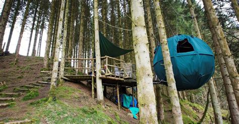 Tree tent holidays - quirky tree-top glamping breaks in the U.K.