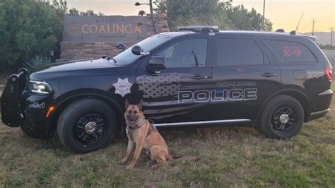 Coalinga Police Mourn The Loss Of K 9 Nitro After Sudden Medical Emergency