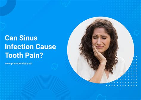 Can Sinus Infection Cause Tooth Pain Prime Dentistry