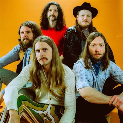 Albums Of The Week: The Sheepdogs | Outta Sight - Tinnitist