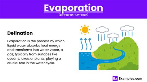 Evaporation - 5+ Examples, Process, Factors, Applications, Difference