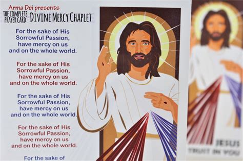 The Divine Mercy Chaplet Folded Visual Devotional Equipping