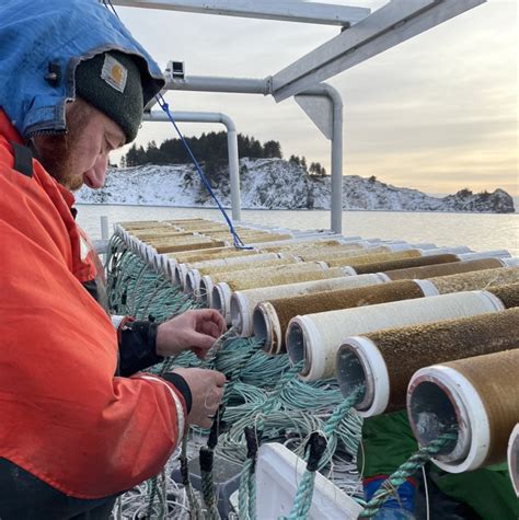 Alaska Sea Grant: Foundations of Kelp Farming: a hands-on workshop ...