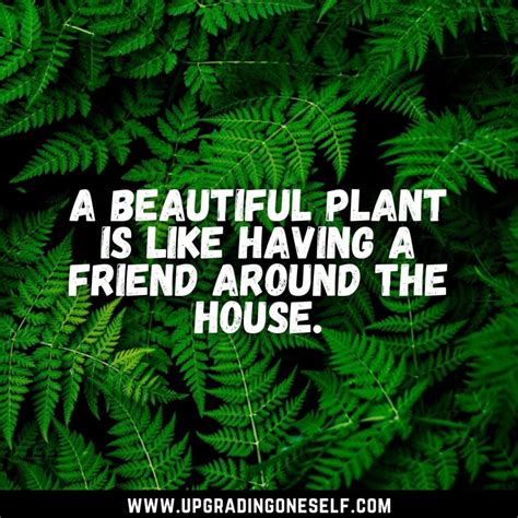 Top 20 Freshening Quotes About Plant To Blow Your Mind