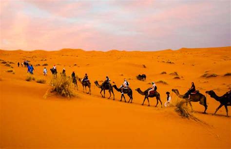 D As Desde Marrakech Al Desierto De Merzouga Con Grupo Morocco