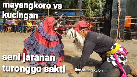 Mayangkoro Vs Kucingan Versi Turonggo Sakti Live Balung Kulon YouTube