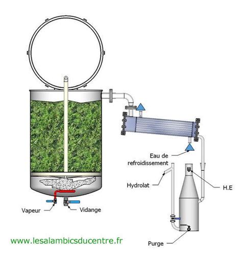 Schemas De Principe Distillation Des Plantes