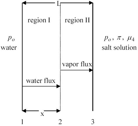 Schematic diagram of porous membrane. | Download Scientific Diagram