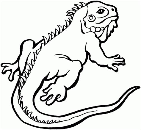 Reptile Coloring Pages - Best Coloring Pages For Kids