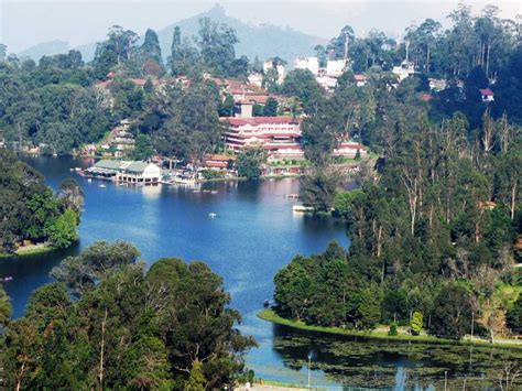 Book Ooty Coorg Kodaikanal Packages Indian Temple Tour