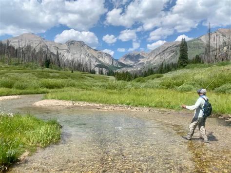 Jackson Hole Yellowstone WY Fly Fishing Fish The Fly Guide Service