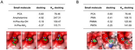 A Binding Affinities Docking Kcalmol Dissociation Constants Kd