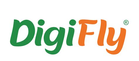 About Digifly Group Digital Marketing Agency