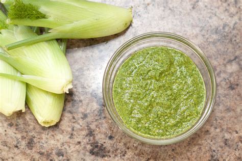 Fennel Frond Pesto Recipe Pesto Fennel Pasta Fennel Recipes