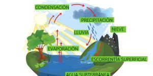 Qué es la climatología Definición y ejemplos