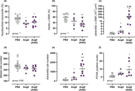 Angiitreatment Results In Vsmc Phenotypic Switch Migration And