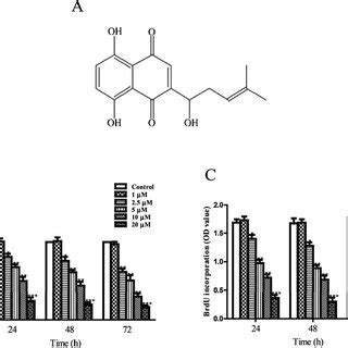 Effects Of Shikonin On Cell Viability And Proliferation A Chemical