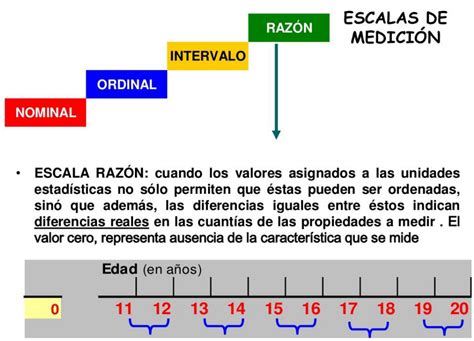 Entendiendo la escala de razón Ejemplos y explicación