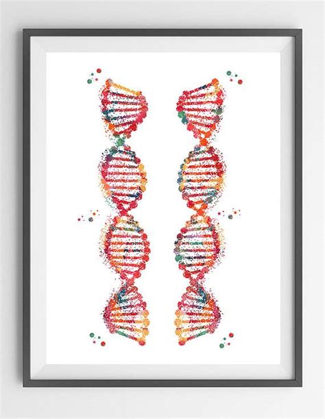 Dna Double Helix Watercolor Poster DNA Art Print Science Art ...