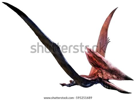 Thalassodromeus 3d Illustration Stock Illustration 595251689 Shutterstock