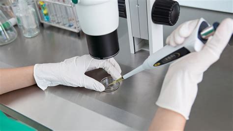 Cell Line Dna Forensics Laboratory Dna Forensics