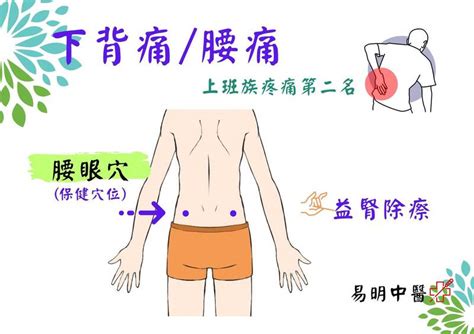 健康網》腰痠背痛睡不好 醫列「3穴道」舒緩 自由健康網