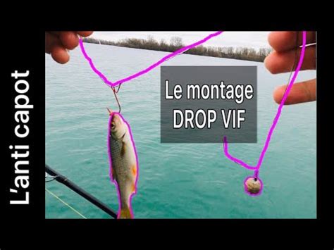 Carnassier le montage la technique le fish l anti capot pêche aux