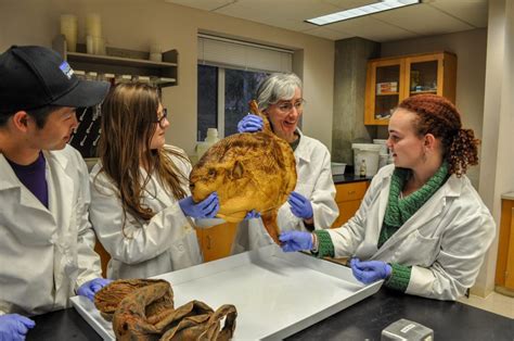 University Of Washington Announces New Marine Biology Major