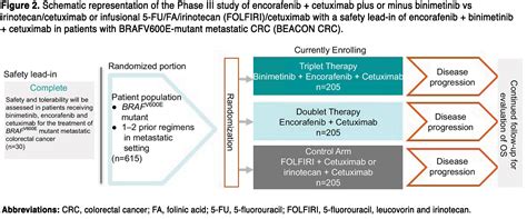 Emerging Treatment Options For Braf Mutant Colorectal Cancer Ona