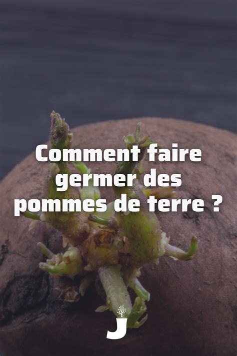 Comment Faire Germer Des Pommes De Terre Artofit