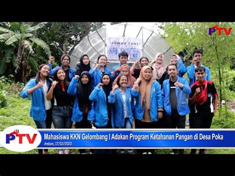 PATTIMURA TV Mahasiswa KKN Gelombang I Adakan Program Ketahanan