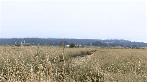 New Tidal Marsh Landscape Coming To Eureka