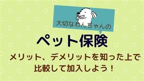 【ペット保険】メリット、デメリットを知った上で比較して加入しよう！