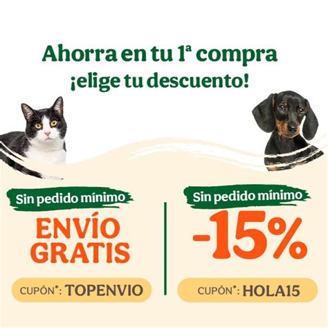 Cuáles Son Las Mejores Hierbas Para Gatos Tiendanimal