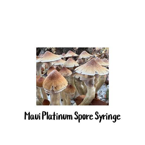 Maui Platinum PES Hawaiian 10cc Spore Syringe