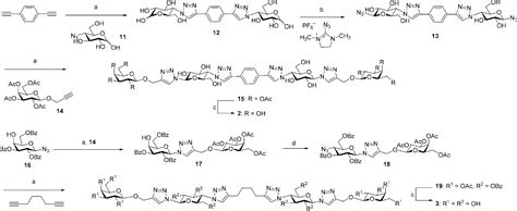 Assembly Of Divalent Ligands And Their Effect On Divalent Binding To