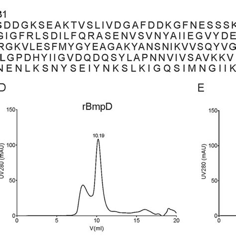 A Two Dimensional Structures Of Nucleobases Nucleosides And Download Scientific Diagram