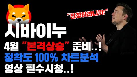 시바이누 긴급 정확도 100 전망분석 4월1일 오전 9시 본격반등 준비하세요 코인시황 Youtube