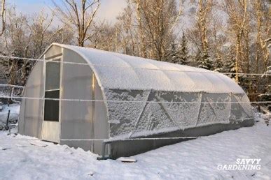 A Winter Greenhouse: How to Harvest Vegetables All Winter