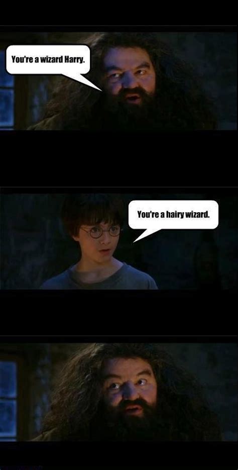 Youre A Hairy Wizard Harry Potter Pinterest Wizards