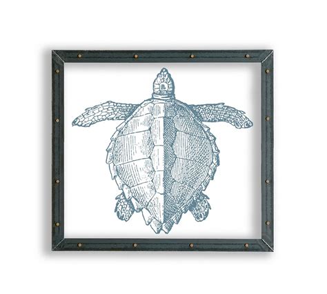 Sea Turtle Framed Acrylic Print Coastal Wall Art Pottery Barn