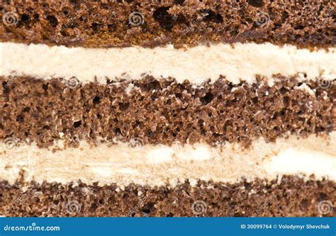 Cake Texture Stock Photo Image Of Backgrounds Snack 30099764