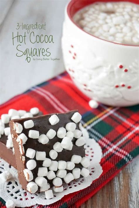 3 Ingredient Hot Cocoa Squares Place Of My Taste