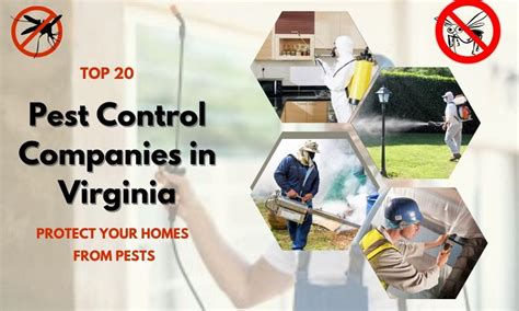 Top 20 Best Pest Control Companies In Virginia Pest Control Virginia