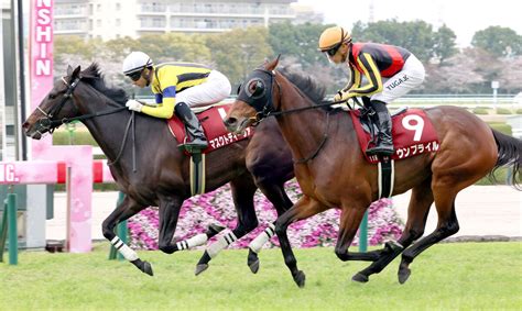 【阪神牝馬s】ウンブライルは半馬身届かず2着 川田将雅騎手「勝ち馬は着差以上に強い」 Umatoku 馬トク